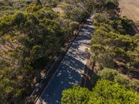 Armco Barrier on Portugal's Elevated Road View