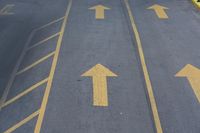 arrow symbols painted on a roadway with a light pole in the distance and a street lined by yellow curbing