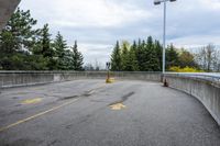 yellow arrows show no crossing in a parking lot next to a forest, near some concrete wall