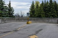 yellow arrows show no crossing in a parking lot next to a forest, near some concrete wall