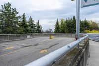 yellow arrows show no crossing in a parking lot next to a forest, near some concrete wall