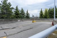 yellow arrows show no crossing in a parking lot next to a forest, near some concrete wall