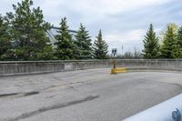 yellow arrows show no crossing in a parking lot next to a forest, near some concrete wall