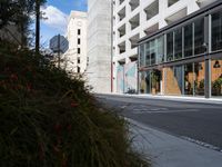 Arts District Urban Scene in California