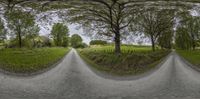 two street view glasses are shown at the top of them with trees on both sides