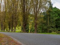 Asia Road Among Trees and Greenery Under Clear Skies