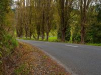 Asia Road Among Trees and Greenery Under Clear Skies