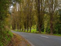 Asia Road Among Trees and Greenery Under Clear Skies