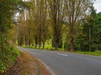 Asia Road Among Trees and Greenery Under Clear Skies