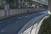 there is a large street under an overpass with graffiti on it and some bushes in the foreground