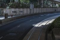 there is a large street under an overpass with graffiti on it and some bushes in the foreground