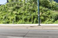 an asian boy riding a skateboard on a street near some bushes and grass that are in the background