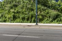 an asian boy riding a skateboard on a street near some bushes and grass that are in the background