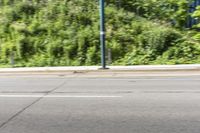 an asian boy riding a skateboard on a street near some bushes and grass that are in the background