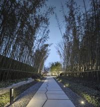 an area in a park with stone pathway and stone benches lined by bamboo trees at dusk