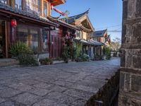 the road is lined with asian style houses and potted plants on each side of a street