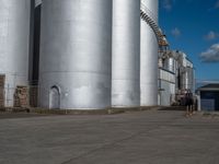 Asian Vegetation Surrounding a Factory Under Clear Sky