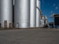 Asian Vegetation Surrounding a Factory Under Clear Sky