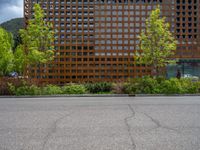 street corner with tree on the corner of the corner and a building behind it that is surrounded by multiple windows and a perforated brown lattice