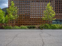 street corner with tree on the corner of the corner and a building behind it that is surrounded by multiple windows and a perforated brown lattice