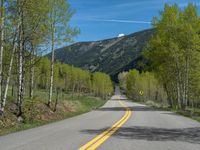 a yellow and black sign is on the street near some mountains and trees in the distance