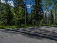 a scenic, winding road on the edge of a mountain range surrounded by tall trees