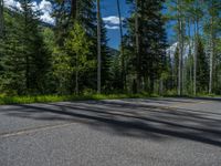 a scenic, winding road on the edge of a mountain range surrounded by tall trees