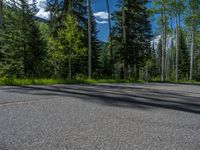 a scenic, winding road on the edge of a mountain range surrounded by tall trees