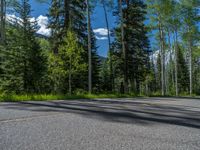 a scenic, winding road on the edge of a mountain range surrounded by tall trees