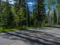 a scenic, winding road on the edge of a mountain range surrounded by tall trees