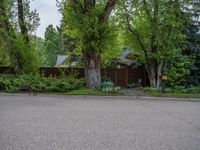 an empty street lined with trees and a mountain range in the distance in the back