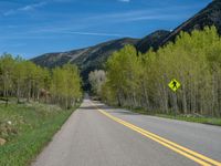 a yellow and black sign is on the street near some mountains and trees in the distance