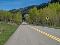 a yellow and black sign is on the street near some mountains and trees in the distance