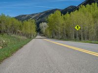 a yellow and black sign is on the street near some mountains and trees in the distance