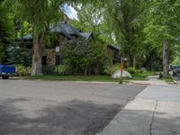 an empty street lined with trees and a mountain range in the distance in the back