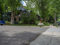 an empty street lined with trees and a mountain range in the distance in the back