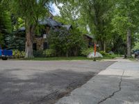 an empty street lined with trees and a mountain range in the distance in the back