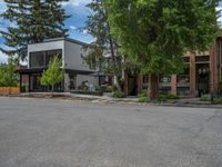 street corner with tree on the corner of the corner and a building behind it that is surrounded by multiple windows and a perforated brown lattice