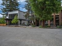 street corner with tree on the corner of the corner and a building behind it that is surrounded by multiple windows and a perforated brown lattice