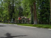 a road and trees line a residential street in a residential area in a neighborhood with no parking