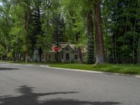 a road and trees line a residential street in a residential area in a neighborhood with no parking