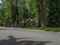 a road and trees line a residential street in a residential area in a neighborhood with no parking