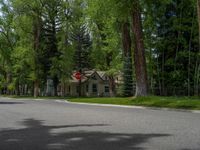 a road and trees line a residential street in a residential area in a neighborhood with no parking