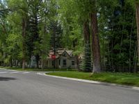 a road and trees line a residential street in a residential area in a neighborhood with no parking