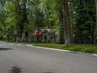 a road and trees line a residential street in a residential area in a neighborhood with no parking