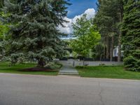 an empty street lined with trees and a mountain range in the distance in the back