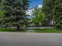 an empty street lined with trees and a mountain range in the distance in the back