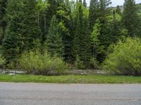 a street leads to a narrow forest with mountains in the background with clouds overhead on an empty mountain road