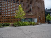 street corner with tree on the corner of the corner and a building behind it that is surrounded by multiple windows and a perforated brown lattice