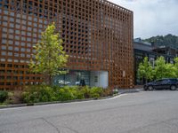 street corner with tree on the corner of the corner and a building behind it that is surrounded by multiple windows and a perforated brown lattice